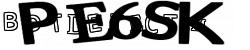 Retype the CAPTCHA code from the image