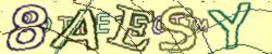 Retype the CAPTCHA code from the image