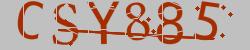 Retype the CAPTCHA code from the image